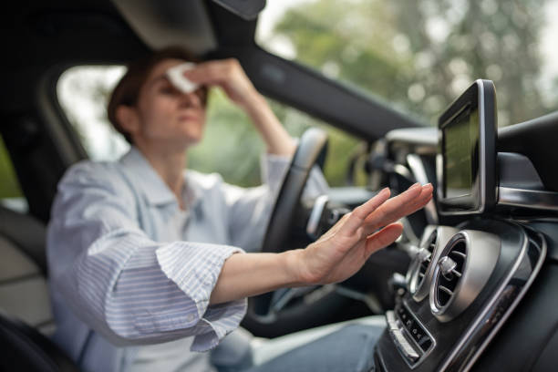 Best Central Air Repair  in Buena Vista, GA